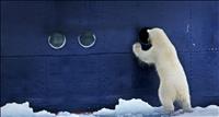 thumbnail of PolarBear