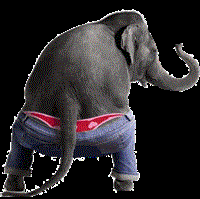 elephantexoticdancer