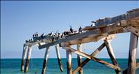 thumbnail of EuclaJetty