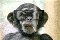 thumbnail of Chimp-with-glasses-smoking