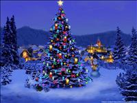 thumbnail of 53Christmas-Tree-Nature1024